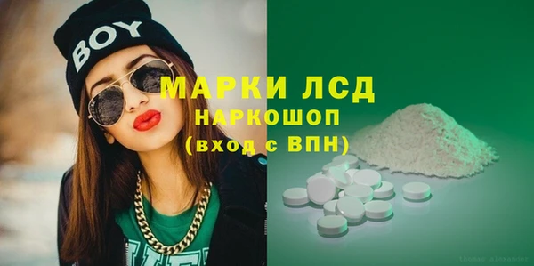ECSTASY Бородино