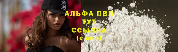 стафф Богородск