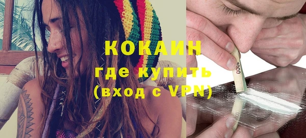 кокс Богородицк