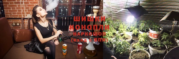 стафф Богородск