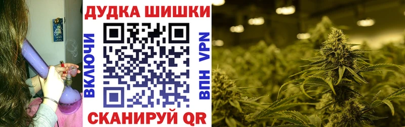 Бошки марихуана White Widow  закладка  Медногорск 